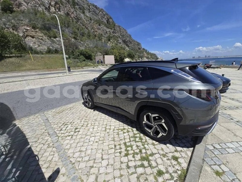 Big with watermark hyundai tucson saint louis dagana 34349