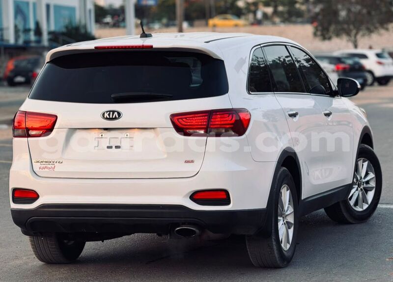 Big with watermark kia sorento dakar dakar 34351