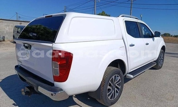 Acheter Occasion Voiture Nissan Navara Blanc à Dabo, Kolda Acheter Occasion Voiture Nissan Navara Blanc à Dabo, Kolda