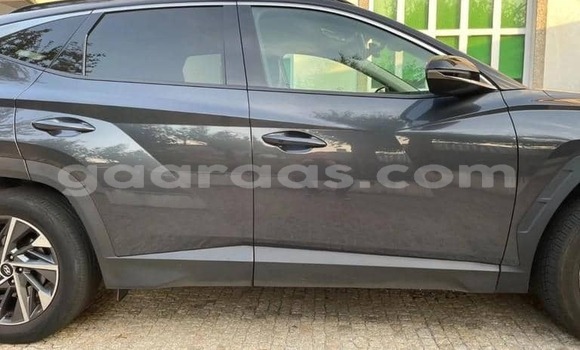 Acheter Occasion Voiture Hyundai Tucson Gris à Dabo, Kolda Acheter Occasion Voiture Hyundai Tucson Gris à Dabo, Kolda