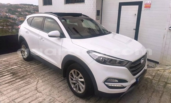 Acheter Occasion Voiture Hyundai Tucson Blanc à Dabo, Kolda Acheter Occasion Voiture Hyundai Tucson Blanc à Dabo, Kolda