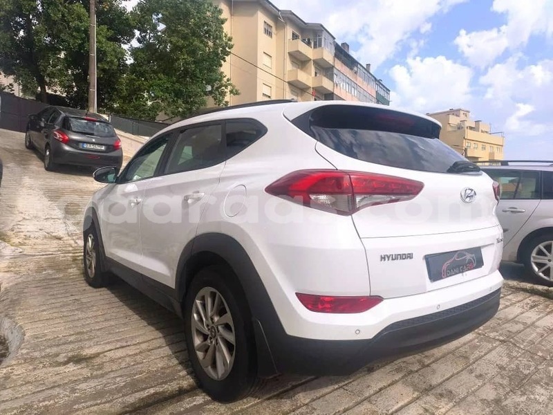 Big with watermark hyundai tucson kolda dabo 34360