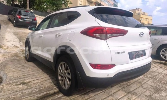 Acheter Occasion Voiture Hyundai Tucson Blanc à Dabo, Kolda Acheter Occasion Voiture Hyundai Tucson Blanc à Dabo, Kolda