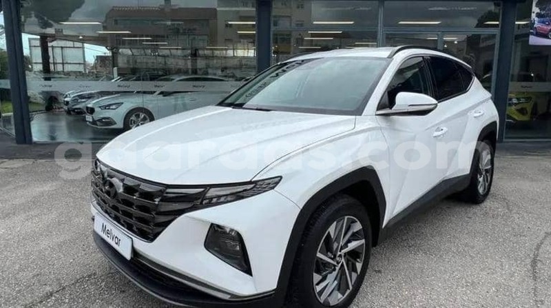 Big with watermark hyundai tucson kolda dabo 34370