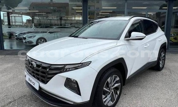 Acheter Occasion Voiture Hyundai Tucson Blanc à Dabo, Kolda Acheter Occasion Voiture Hyundai Tucson Blanc à Dabo, Kolda