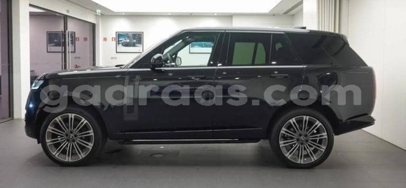 Big with watermark land rover range rover vogue dakar dakar 34372