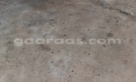 Acheter Import Voiture Ford Fusion Blanc à Dakar, Dakar