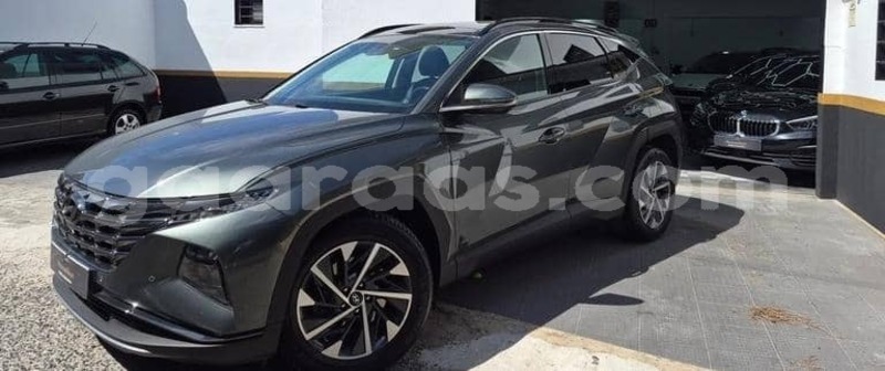 Big with watermark hyundai tucson dakar dakar 34403