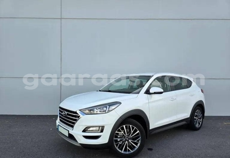Big with watermark hyundai tucson kolda dabo 34404