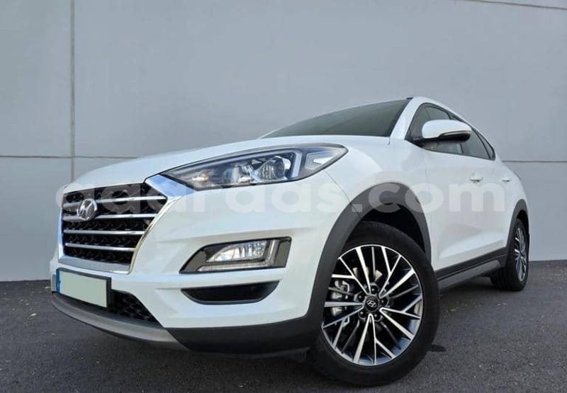 Big with watermark hyundai tucson kolda dabo 34404