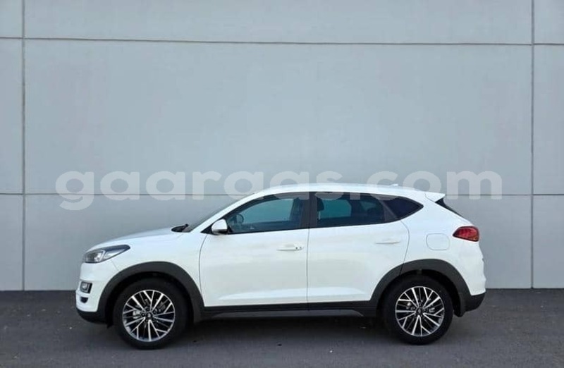 Big with watermark hyundai tucson kolda dabo 34404
