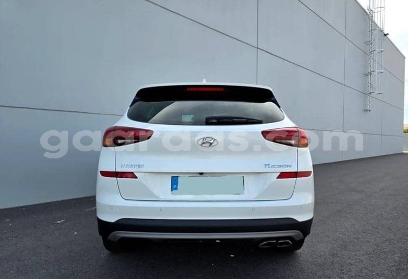 Big with watermark hyundai tucson kolda dabo 34404