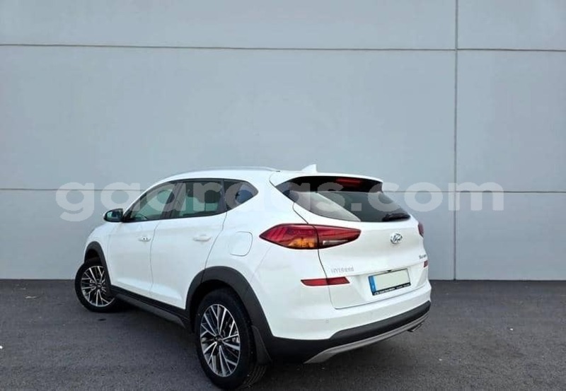 Big with watermark hyundai tucson kolda dabo 34404