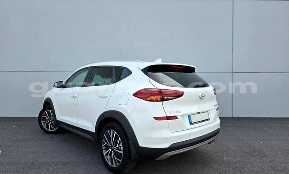 Acheter Occasion Voiture Hyundai Tucson Blanc à Dabo, Kolda Acheter Occasion Voiture Hyundai Tucson Blanc à Dabo, Kolda