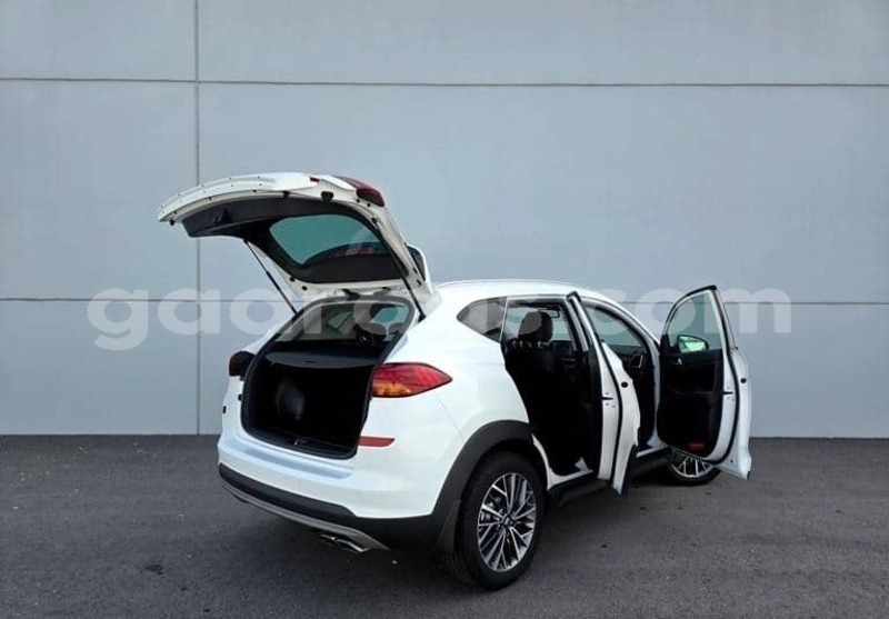 Big with watermark hyundai tucson kolda dabo 34404