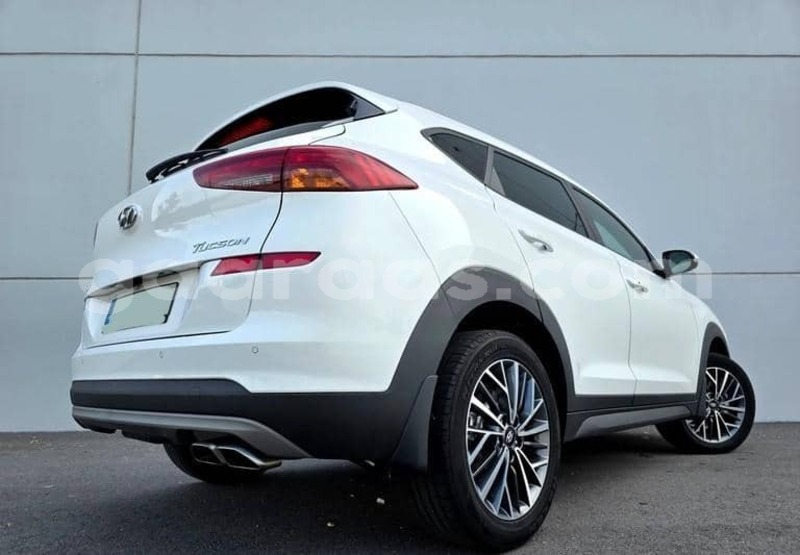 Big with watermark hyundai tucson kolda dabo 34404