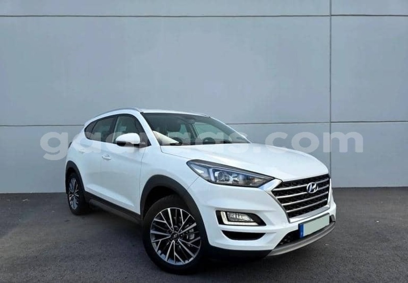 Big with watermark hyundai tucson kolda dabo 34404