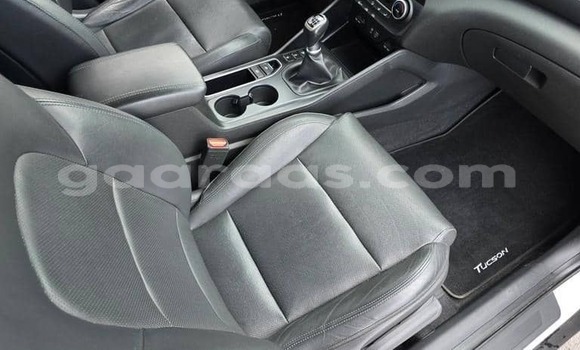 Acheter Occasion Voiture Hyundai Tucson Blanc à Dabo, Kolda Acheter Occasion Voiture Hyundai Tucson Blanc à Dabo, Kolda