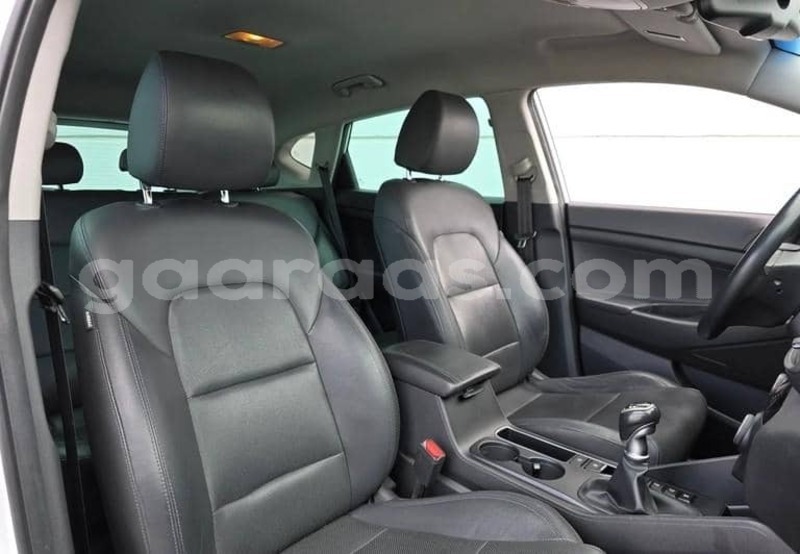 Big with watermark hyundai tucson kolda dabo 34404