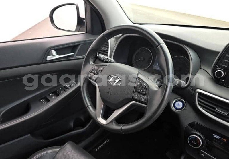 Big with watermark hyundai tucson kolda dabo 34404
