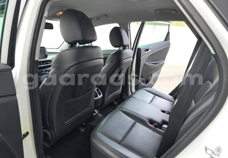Big with watermark hyundai tucson kolda dabo 34404