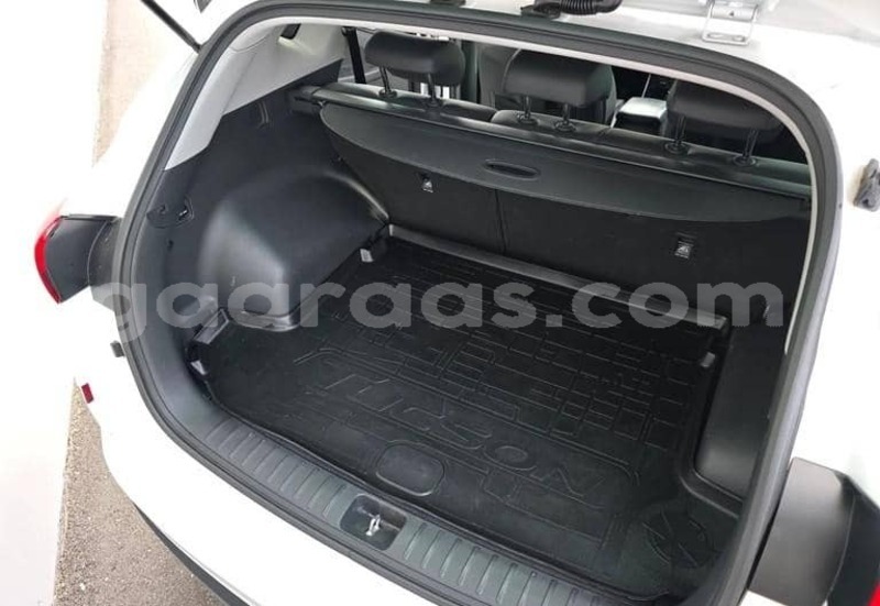 Big with watermark hyundai tucson kolda dabo 34404