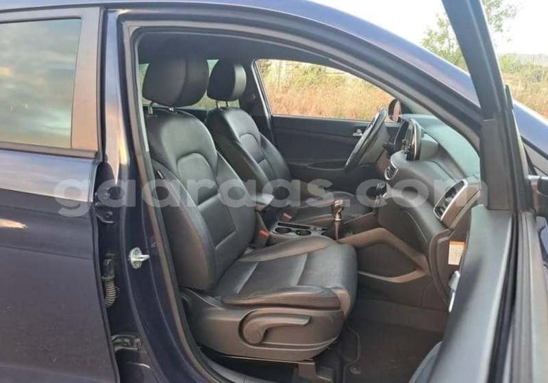 Big with watermark hyundai tucson kolda dabo 34405