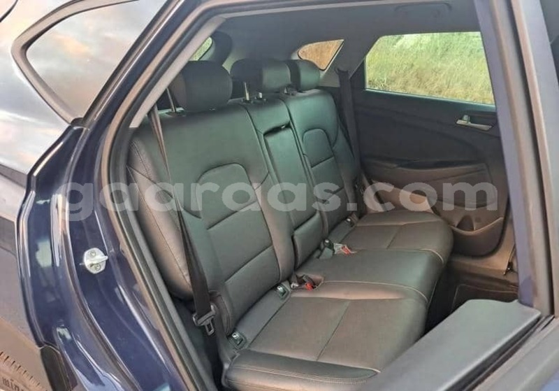 Big with watermark hyundai tucson kolda dabo 34405