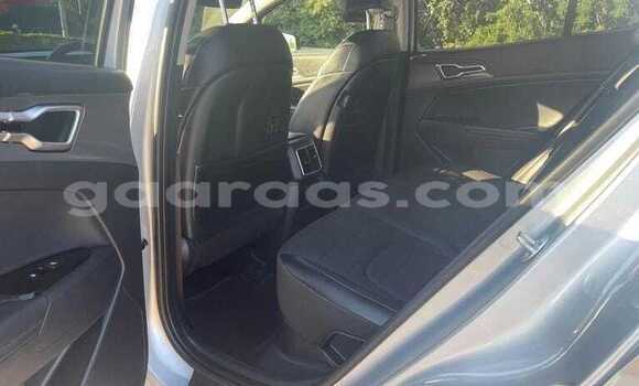 Dieundeu Occasion Kia Sportage Gray Auto in Dabo in Kolda Dieundeu Occasion Kia Sportage Gray Auto in Dabo in Kolda