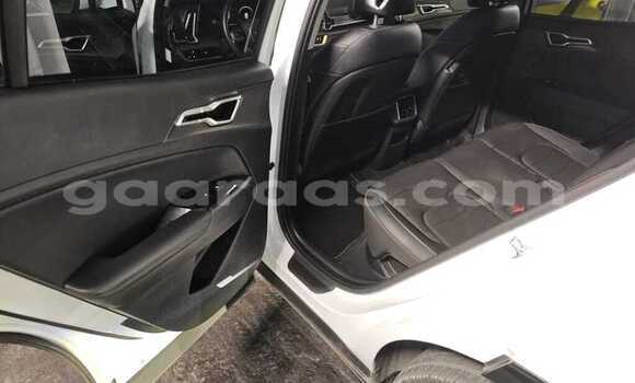 Buy Used Kia Sportage White Car in Dabo in Kolda Buy Used Kia Sportage White Car in Dabo in Kolda