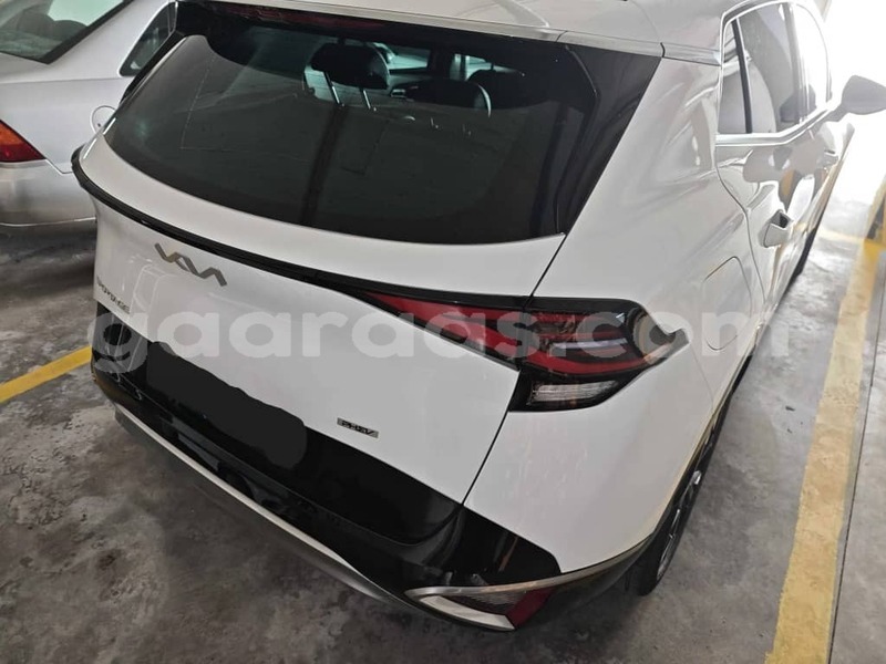 Big with watermark kia sportage kolda dabo 34422