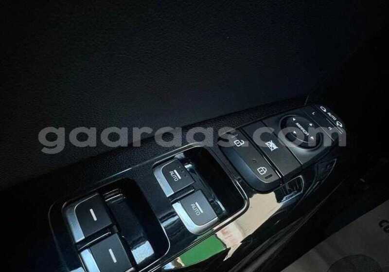 Big with watermark kia sportage kolda dabo 34457