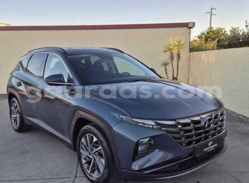 Big with watermark hyundai tucson dakar dakar 34492