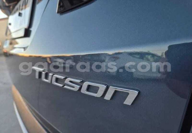 Big with watermark hyundai tucson dakar dakar 34492