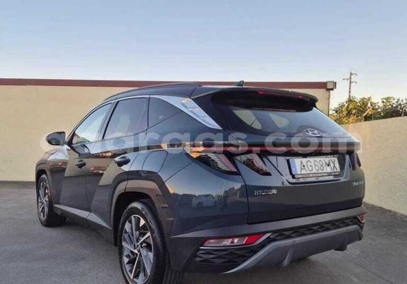 Big with watermark hyundai tucson dakar dakar 34492