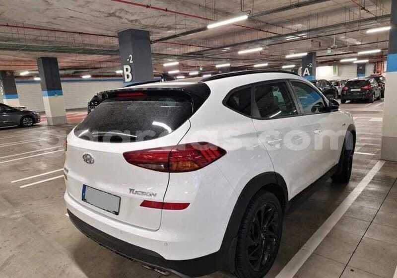 Big with watermark hyundai tucson dakar dakar 34493