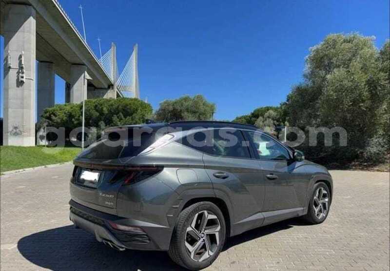 Big with watermark hyundai tucson dakar dakar 34495