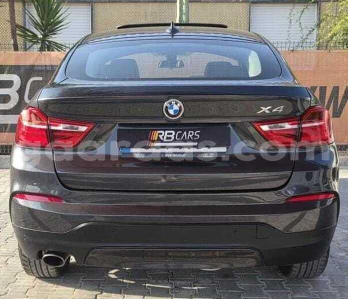 Big with watermark bmw x4 dakar dakar 34496