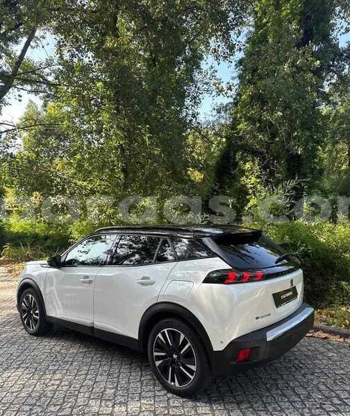 Big with watermark peugeot 2008 dakar dakar 34503