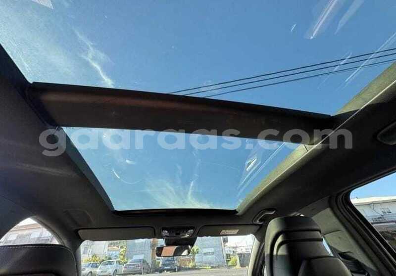 Big with watermark kia sportage dakar dakar 34516