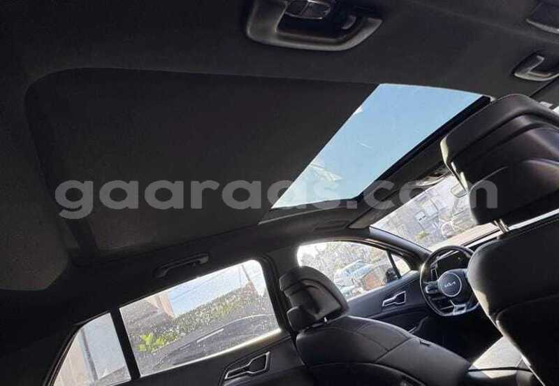 Big with watermark kia sportage dakar dakar 34516