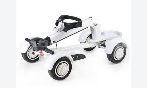 EcoRider G2 Skateboard