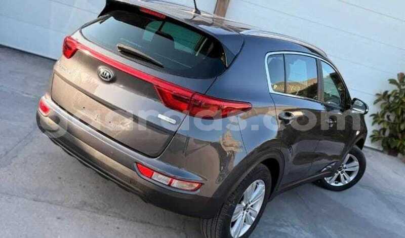 Big with watermark kia sportage dakar dakar 34521