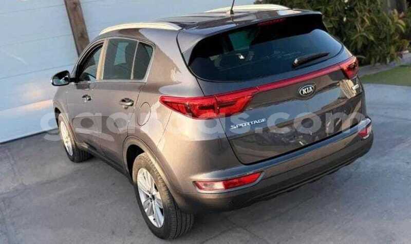 Big with watermark kia sportage dakar dakar 34521