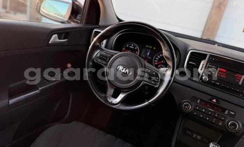 Big with watermark kia sportage dakar dakar 34521