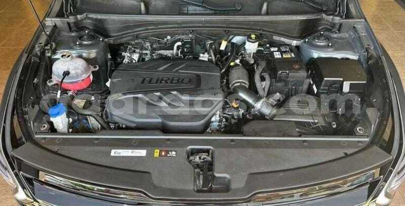 Big with watermark kia sportage kolda dabo 34522
