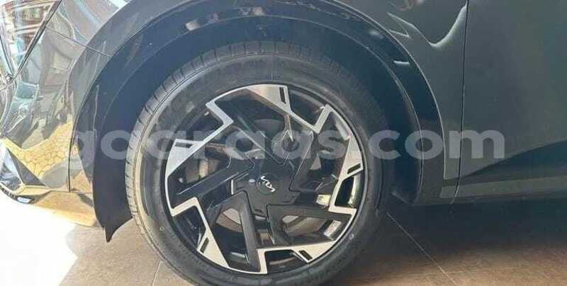 Big with watermark kia sportage kolda dabo 34522