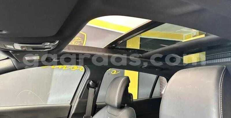 Big with watermark kia sportage kolda dabo 34522