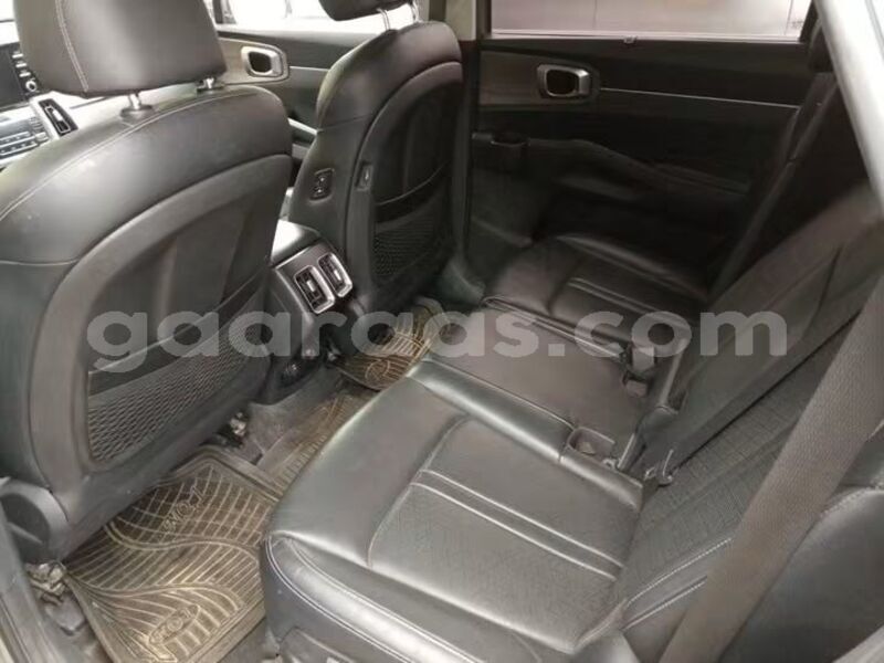 Big with watermark kia sorento dakar dakar 34541