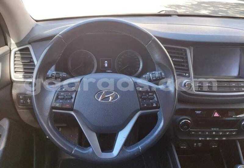 Big with watermark hyundai tucson kolda dabo 34549